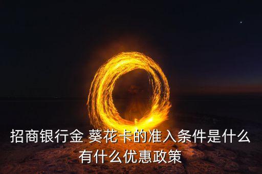 合肥金葵花資產管理有限公司,合肥興泰資產管理有限公司