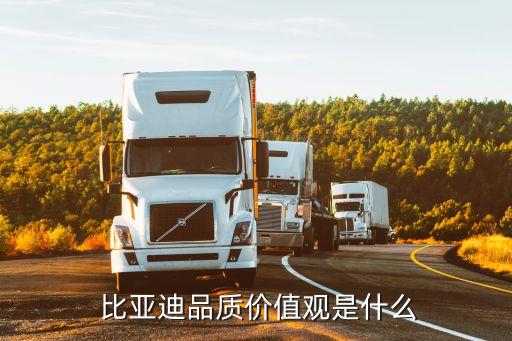  比亞迪品質價值觀是什么