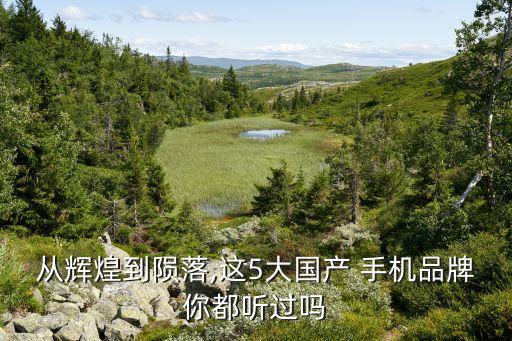 從輝煌到隕落,這5大國產 手機品牌你都聽過嗎