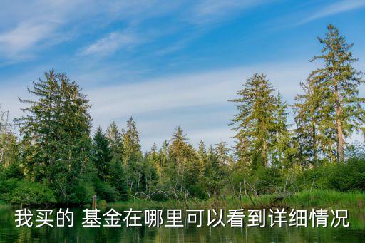 基金開戶統計在哪查