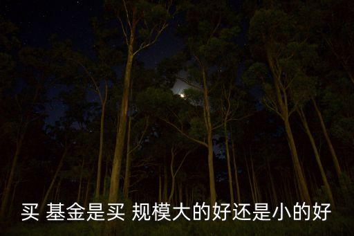 買 基金是買 規模大的好還是小的好