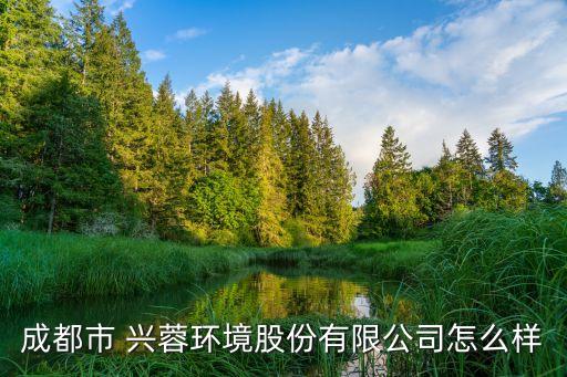 成都市 興蓉環境股份有限公司怎么樣