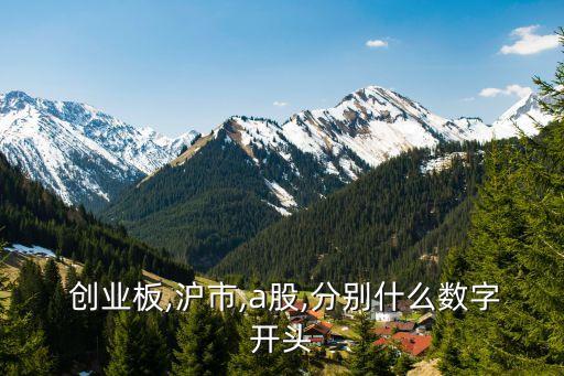  創業板,滬市,a股,分別什么數字開頭