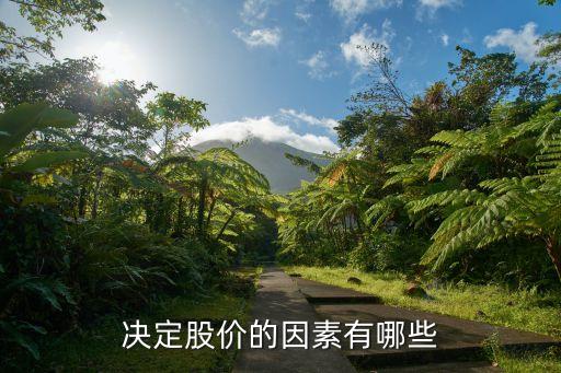 決定股票的市場價格,什么是決定股票市場價格的基礎