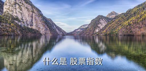 什么是 股票指數