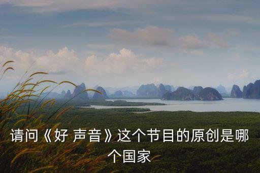 請問《好 聲音》這個節目的原創是哪個國家