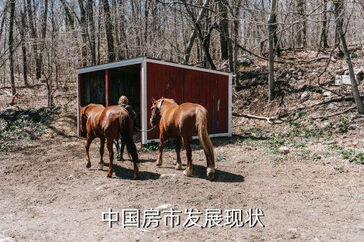 中國房地產住宅與商業地產比
