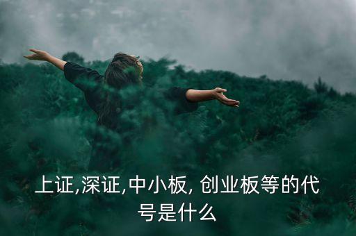 上證,深證,中小板, 創業板等的代號是什么