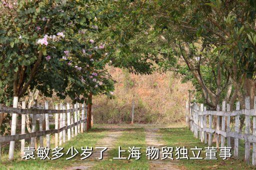 袁敏多少歲了 上海 物貿獨立董事