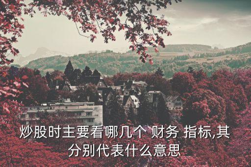 股票基礎知識財務指標,股票的財務指標主要看哪些