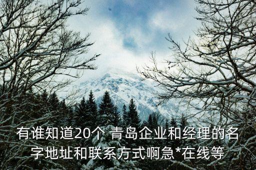 有誰知道20個 青島企業和經理的名字地址和聯系方式啊急*在線等
