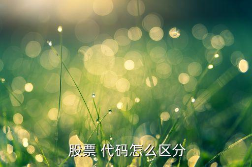 股票創業板是什么代碼,創業板股票開頭代碼是多少