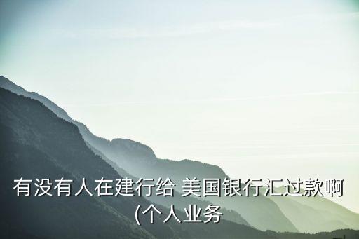 有沒有人在建行給 美國銀行匯過款啊(個人業務
