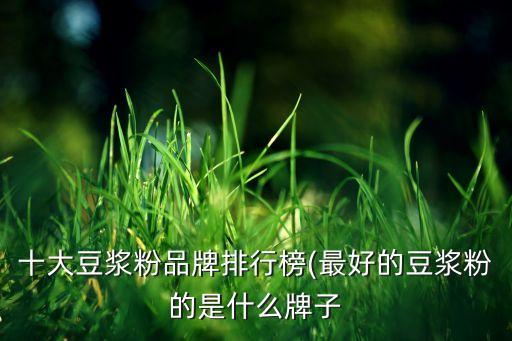 十大豆漿粉品牌排行榜(最好的豆漿粉的是什么牌子
