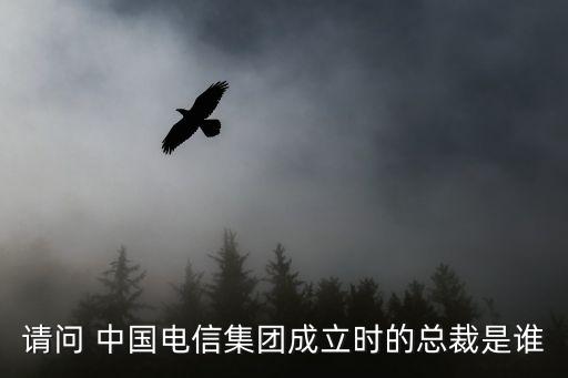 請(qǐng)問 中國(guó)電信集團(tuán)成立時(shí)的總裁是誰(shuí)
