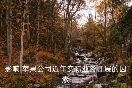 影響 蘋果公司近年實際業務開展的因素