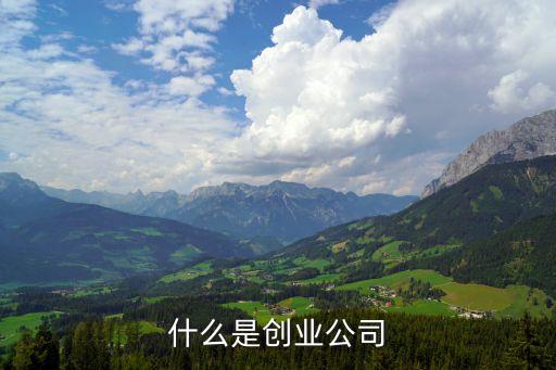 中新創業投資企業,創業投資企業暫行管理辦法