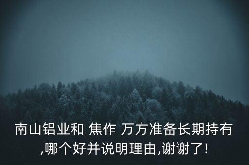 南山鋁業和 焦作 萬方準備長期持有,哪個好并說明理由,謝謝了!
