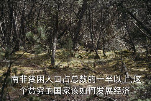  南非貧困人口占總數的一半以上,這個貧窮的國家該如何發展經濟