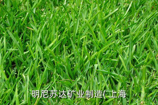 明尼蘇達礦業制造( 上海