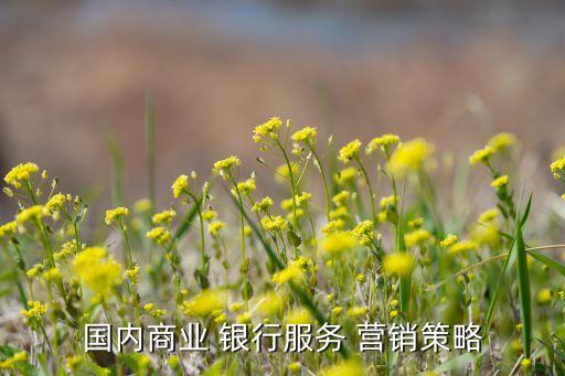 國內商業 銀行服務 營銷策略