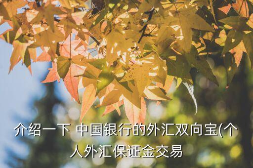 介紹一下 中國銀行的外匯雙向寶(個人外匯保證金交易