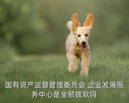 國有資產監督管理委員會 企業發展服務中心是全額撥款嗎