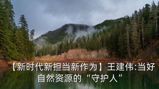 【新時代新擔當新作為】王建偉:當好自然資源的“守護人”