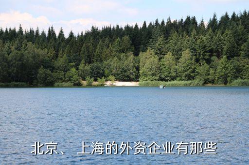 北京、 上海的外資企業有那些