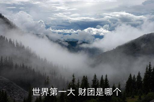 米牛網是哪個財團投資的