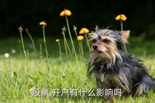 證券公司非現場開戶弊端