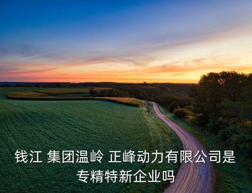 錢江 集團溫嶺 正峰動力有限公司是專精特新企業嗎