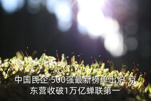 中國民企 500強最新榜單出爐,京東營收破1萬億蟬聯第一