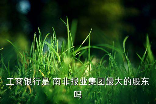 工商銀行是 南非報業集團最大的股東嗎