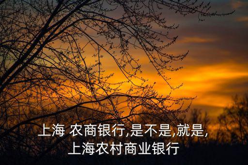  上海 農商銀行,是不是,就是, 上海農村商業銀行