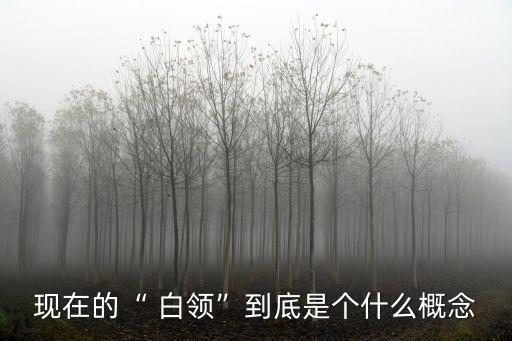 中國白領(lǐng)增長(zhǎng),中國女性白領(lǐng)人數(shù)
