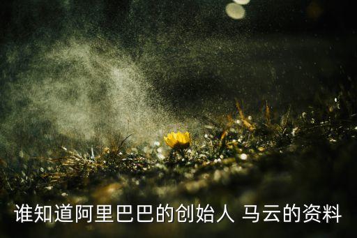 誰知道阿里巴巴的創始人 馬云的資料