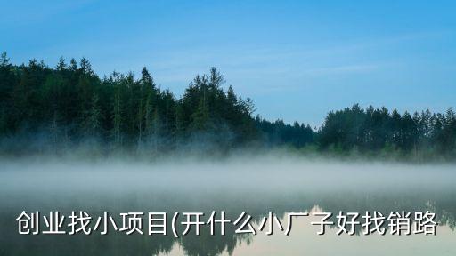 創業找小項目(開什么小廠子好找銷路