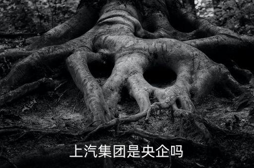 上海國資委直屬企業,國資委直屬企業是什么級別
