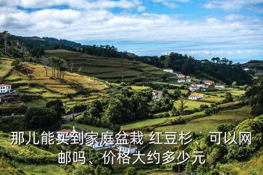 那兒能買到家庭盆栽 紅豆杉、可以網(wǎng)郵嗎、價(jià)格大約多少元