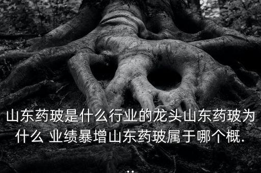 山東藥玻是什么行業的龍頭山東藥玻為什么 業績暴增山東藥玻屬于哪個概...