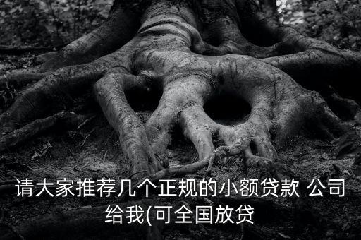 請大家推薦幾個正規的小額貸款 公司給我(可全國放貸