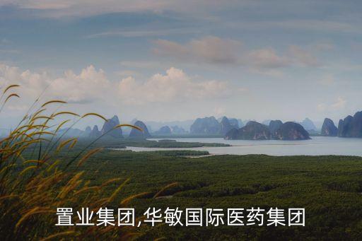 華敏置業集團,華敏國際醫藥集團