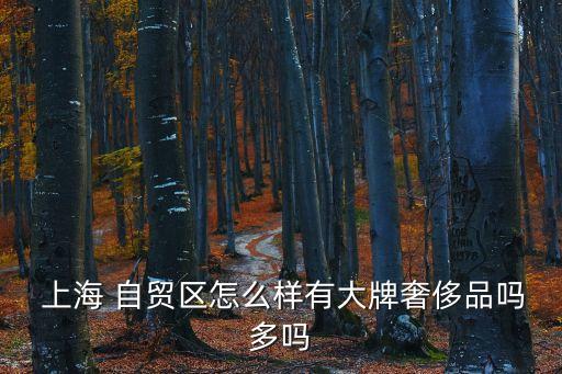  上海 自貿區怎么樣有大牌奢侈品嗎多嗎