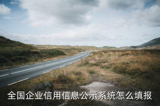 全國企業信用信息公示系統怎么填報