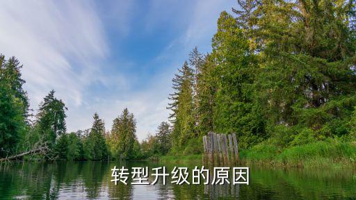  轉型升級的原因
