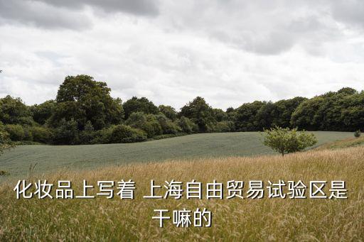 去上海自貿區買東西,廈門自貿區買東西怎么樣