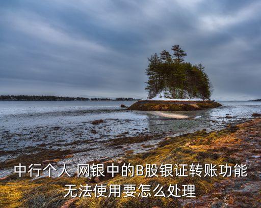 中國銀行網銀不能轉帳
