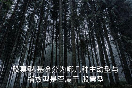  股票型 基金分為哪幾種主動型與 指數型是否屬于 股票型