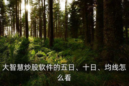 大智慧炒股軟件的五日、十日、均線怎么看